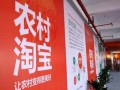 “网购““网销”：电商塑造农村消费新生态
