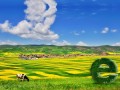 农牧区电商，软肋到底是什么？