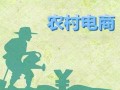 促进农村电子商务创新发展