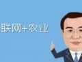 电商发展增强农村经济内生动力