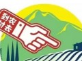 农村电商的九大创业机会
