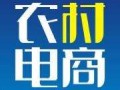 农村电商“星星之火渐燎原”