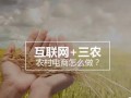 农业众筹到底神奇在哪里？